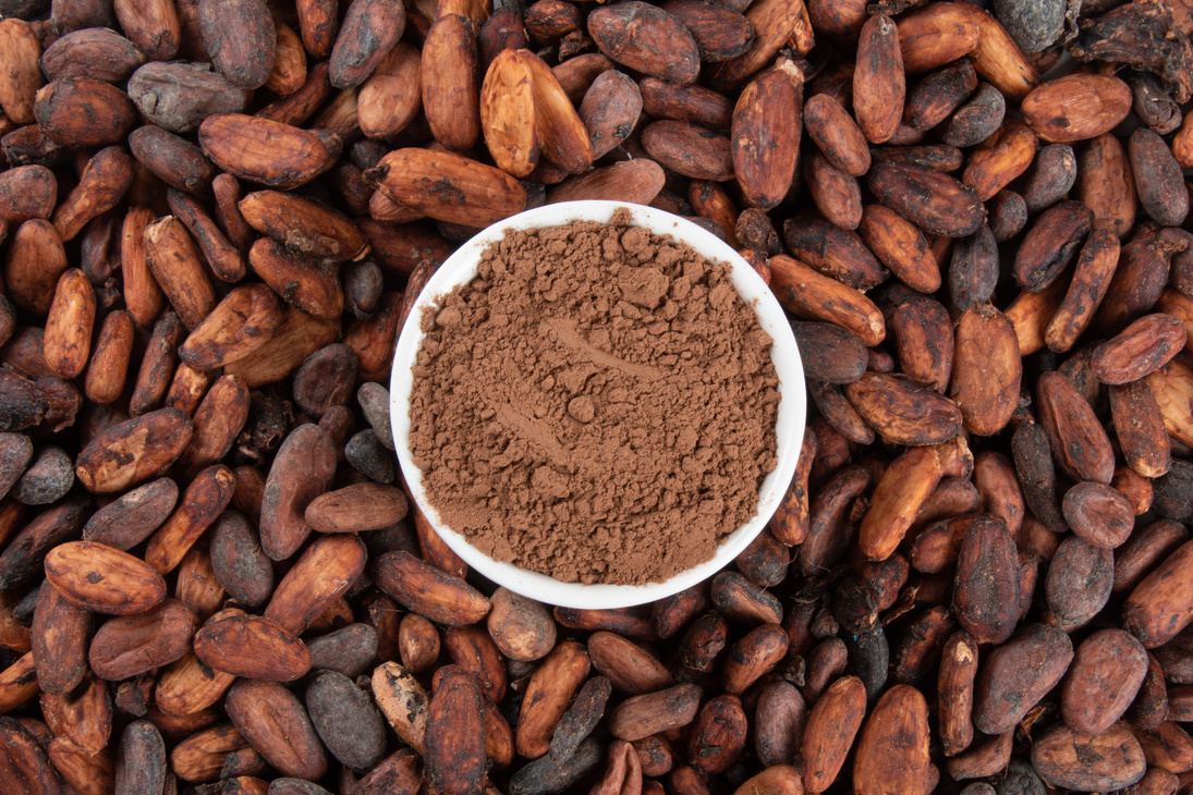 Powdered cocoa on raw cocoa beans